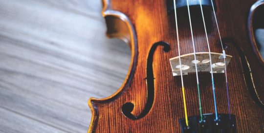 EJ Live Music Musician - Violinist